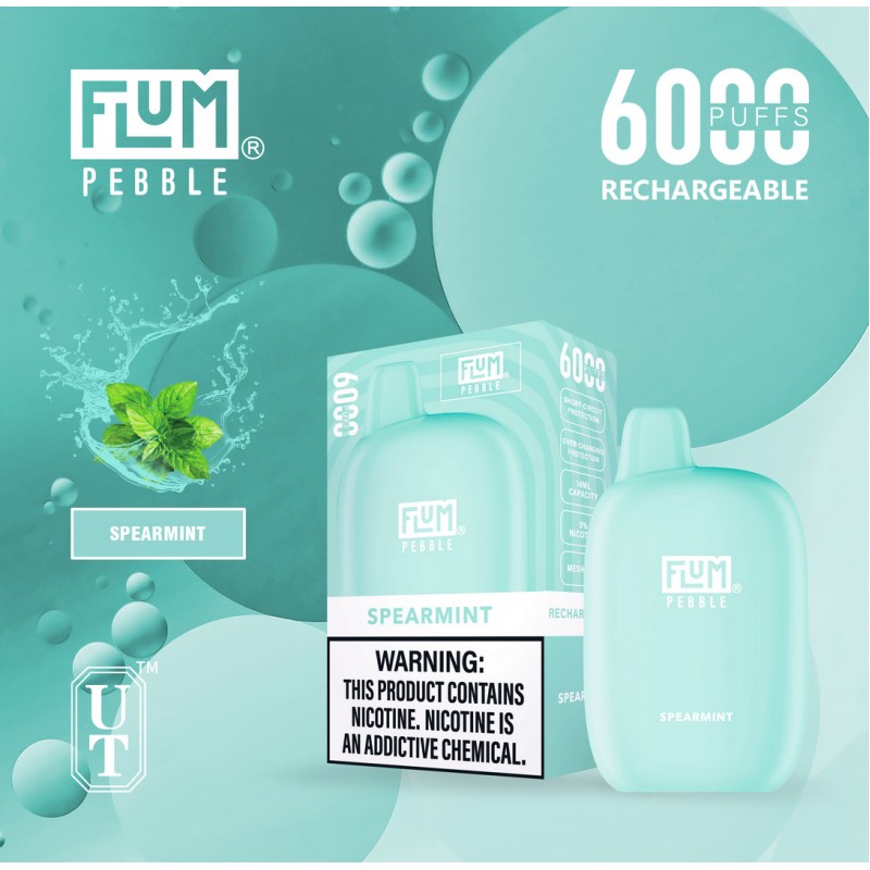 Flum Pebble 6000 Puff Disposable 5% (10 Ct Box) (14 ML)