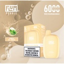 Flum Pebble 6000 Puff Disposable 5% (10 Ct Box) (14 ML)